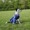 Blue Gingham Dress