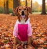 Color-Block Flex Fit Hoodie - Pink on Pink