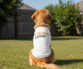 NEW - Crumb Licker Dog Shirt - White
