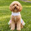 Ice Cream Cart Dress