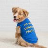 NEW - I'm Not Wearing Pants Dog Shirt - Blue
