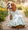 Mint Green Daisy Dress