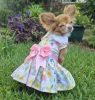 Pastel Meadow Dress