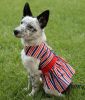 Patriotic Dress