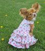 Spring Wildflower Dress