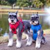 Venture Paw PULL CONTROL Harness - Crimson