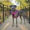 Venture Paw PULL CONTROL Harness - Sugar Rush Pink