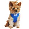 Wrap and Snap Choke Free Dog Harness - Cobalt Blue