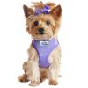 Wrap and Snap Choke Free Dog Harness - Paisley Purple