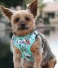Wrap and Snap Choke Free Dog Harness - Surfboards and Palms